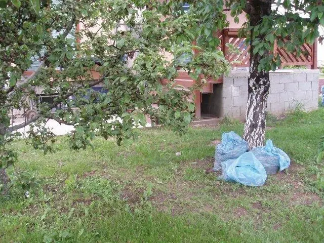 Pôvodný stav – trávnik pod stromami pri terase